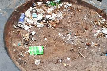 Maceteros instalados en la calle de Alférez Quintana Suárez (Foto TA)